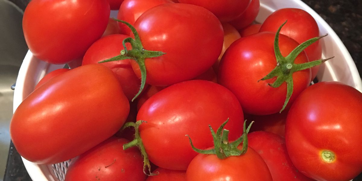 Ghana spends over US100 million on tomatoes and onions annually The