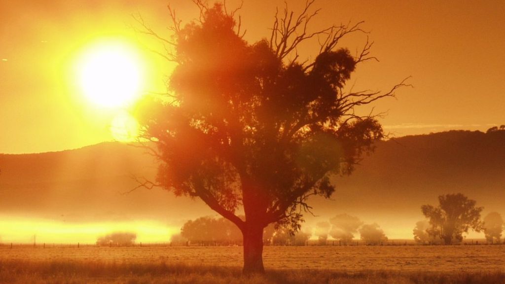 Australia heatwave Nation endures hottest day on record The Ghana Report