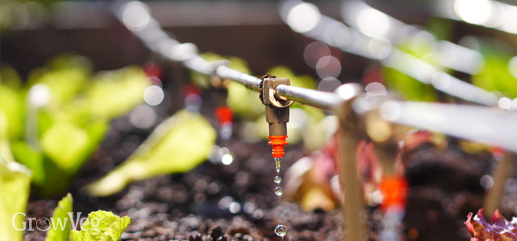 Drip irrigation system