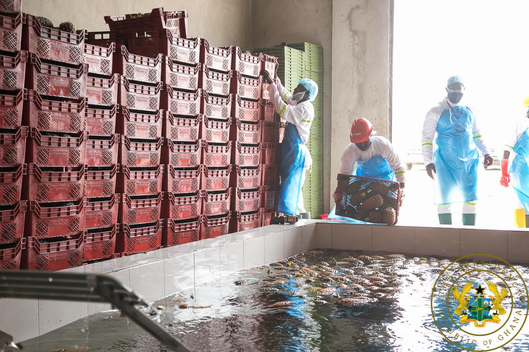 Ekumfi fruit and juices factory commissioning